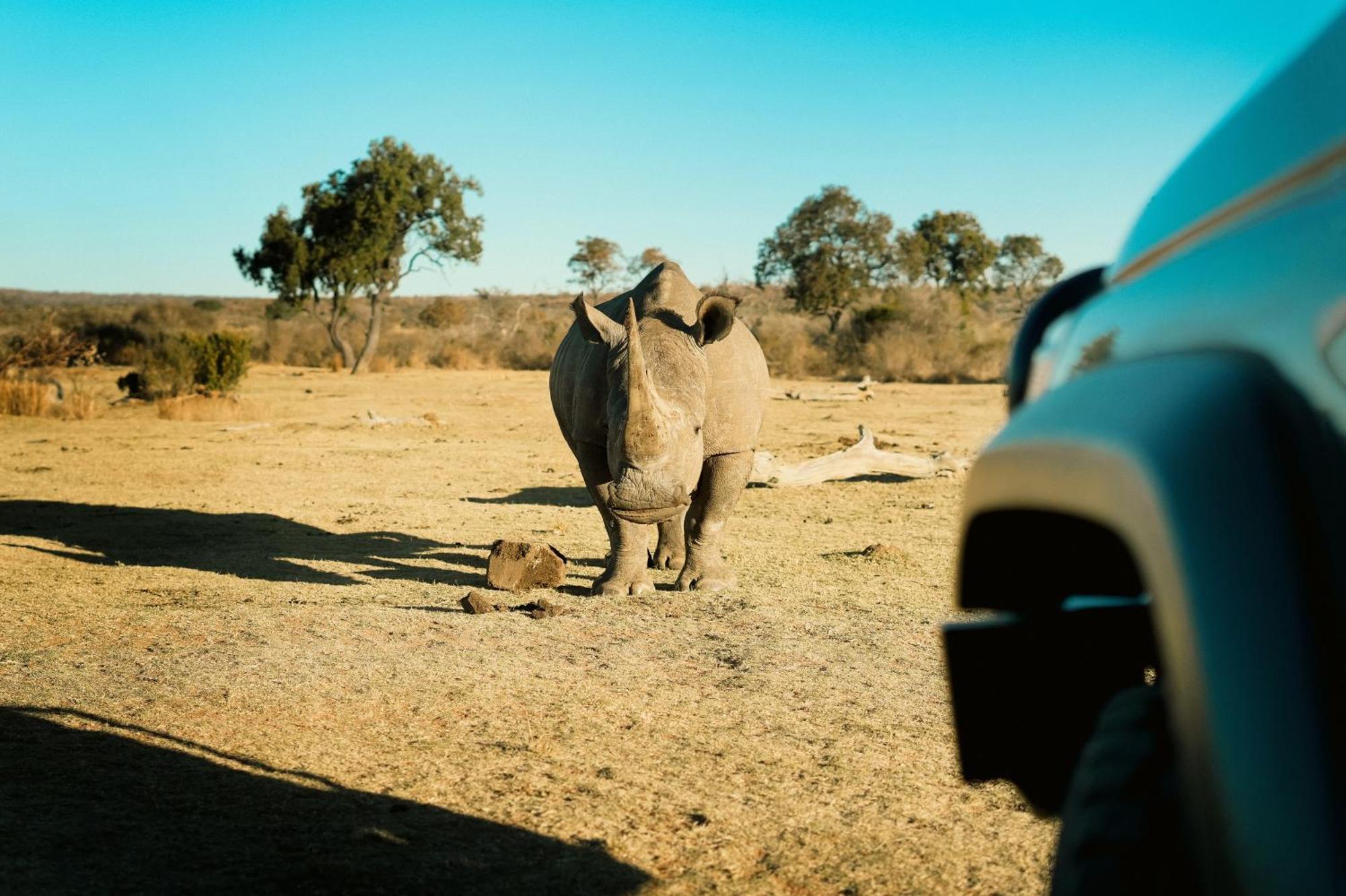 Shibula Safari Lodge Welgevonden Game Reserve ภายนอก รูปภาพ